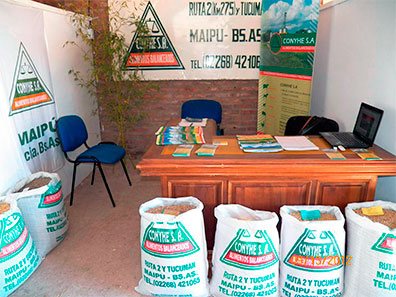 bolsas